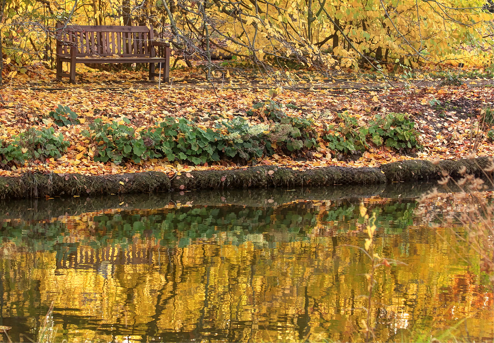 Eine herbstliche Lieblingsbank....