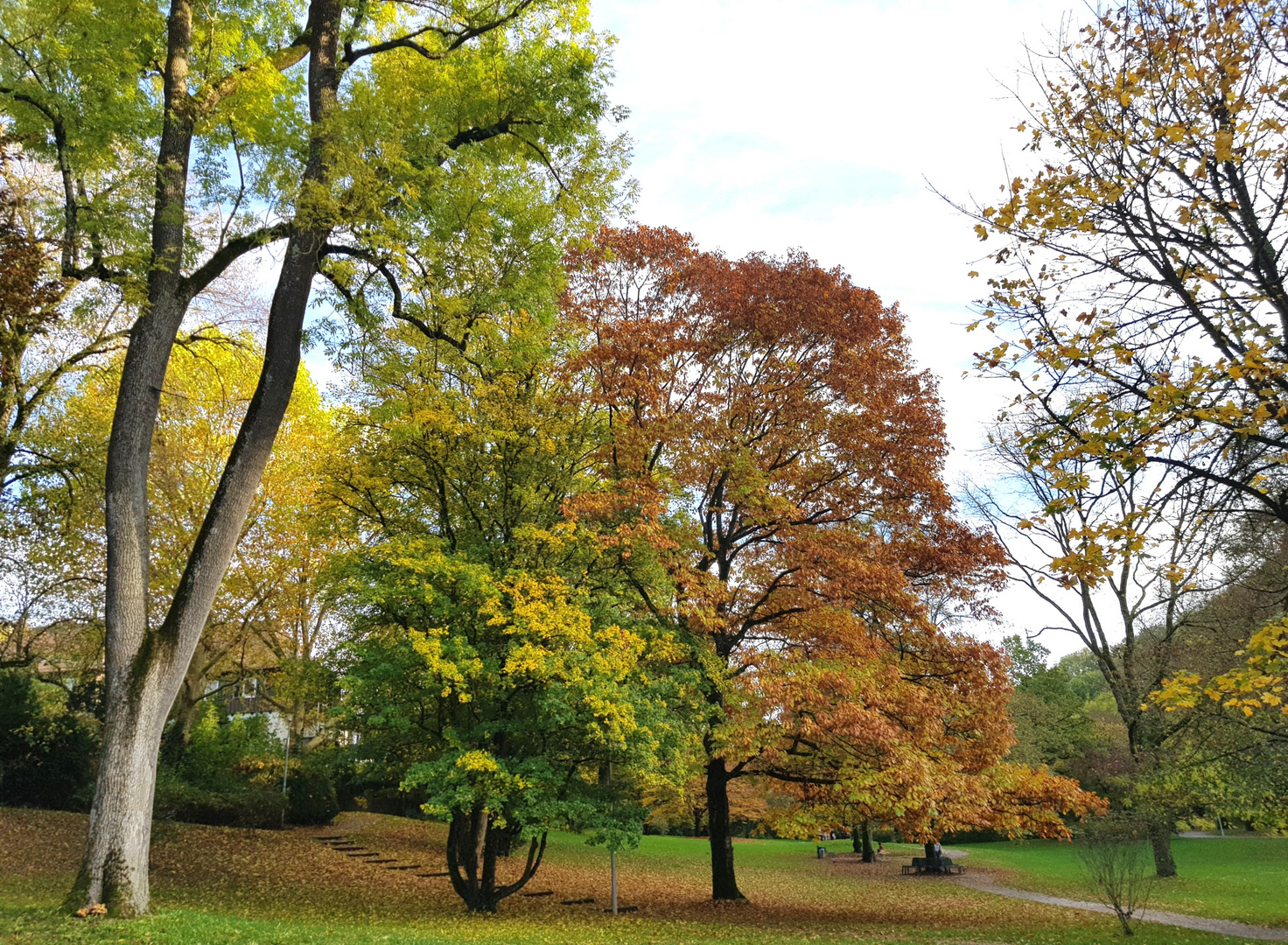 Eine herbstliche Parkanlage