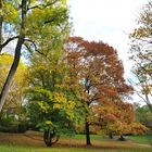 Eine herbstliche Parkanlage