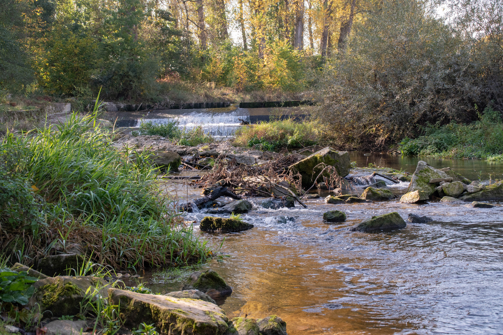 Eine herbstliche Wanderung