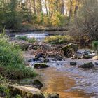 Eine herbstliche Wanderung