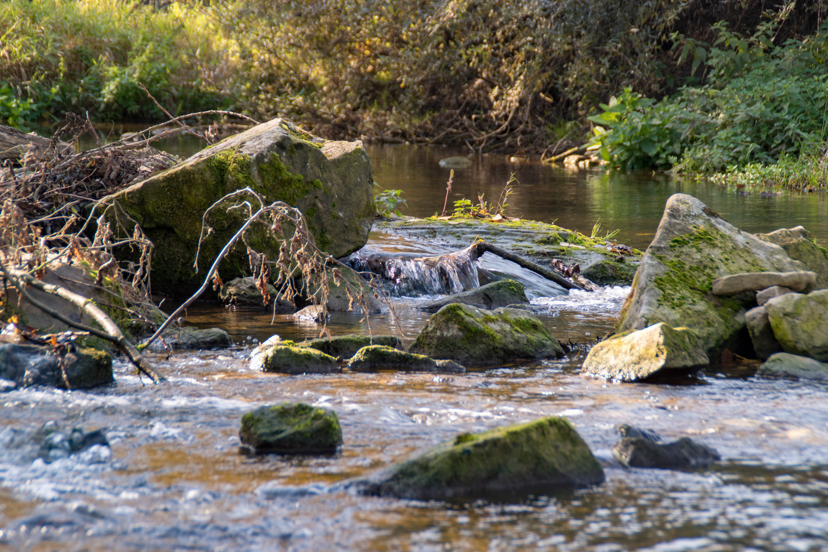 Eine herbstliche Wanderung