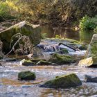 Eine herbstliche Wanderung