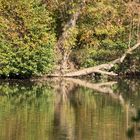 Eine herbstliche Wanderung