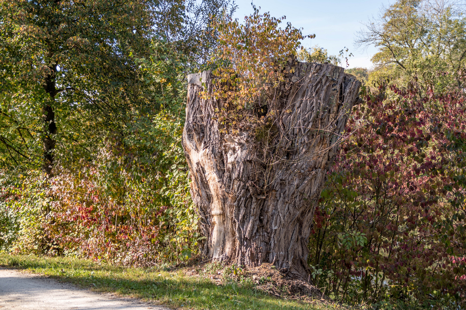 Eine herbstliche Wanderung