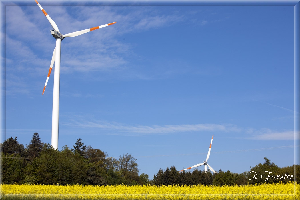 Eine Hoffnung auf Frühling