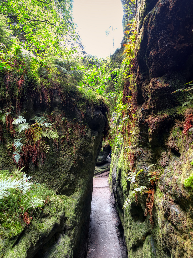 eine hohle Gasse