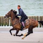 Eine Holländerin am Strand von Westenshowens