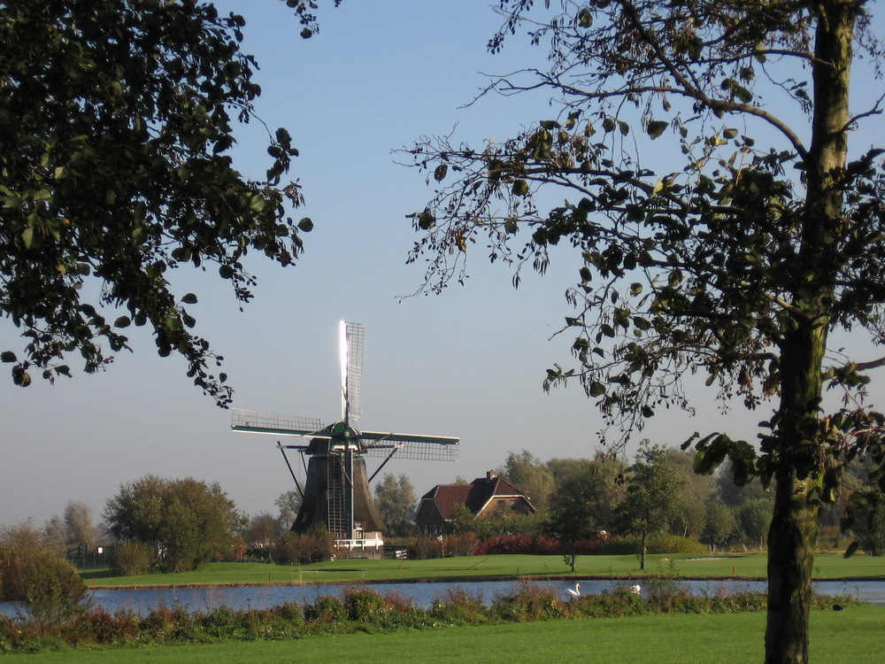 Eine Holländische Landschaft.