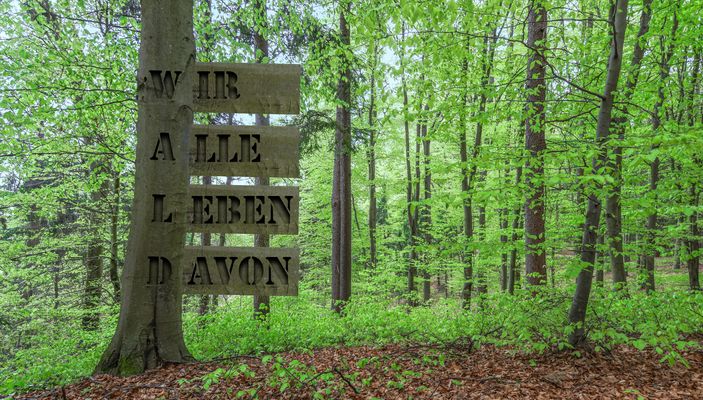 Eine Hommage auf den Wald.