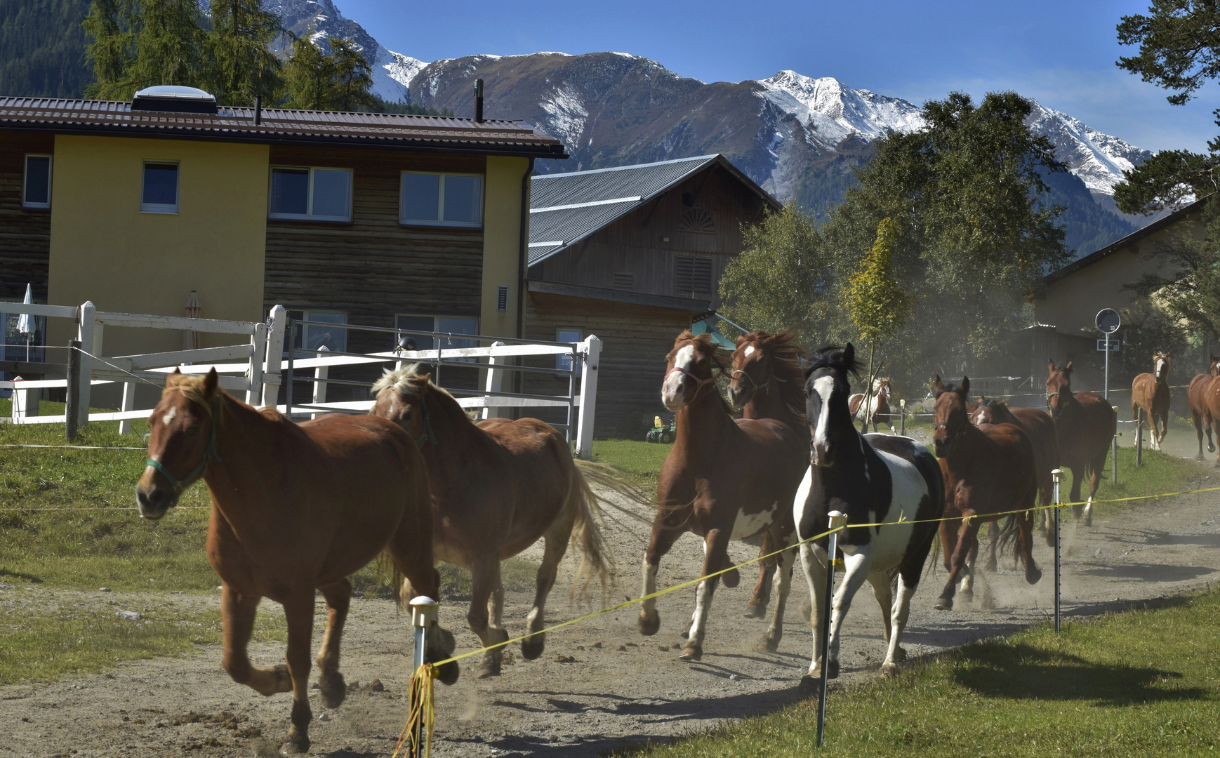 Eine Horde liebenswerte Geschöpfe