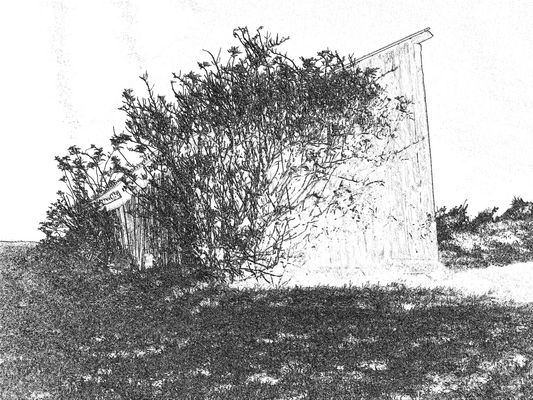 eine Hütte mal anders