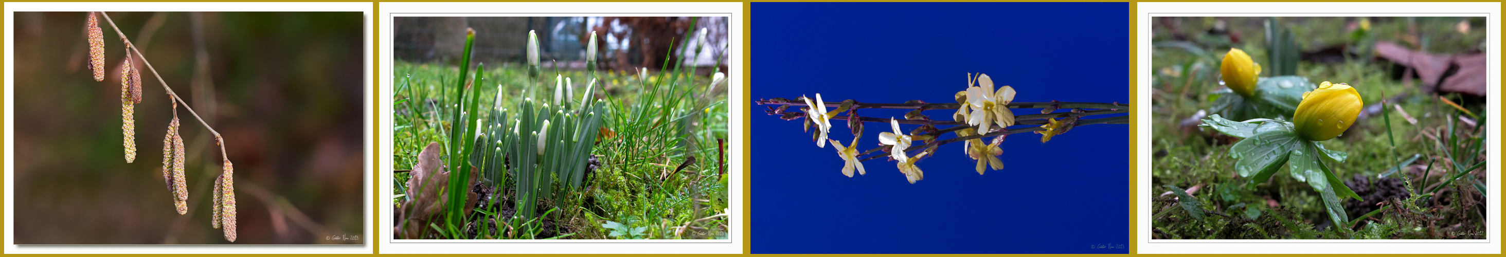 Eine Huldigung für den (kommenden) Frühling