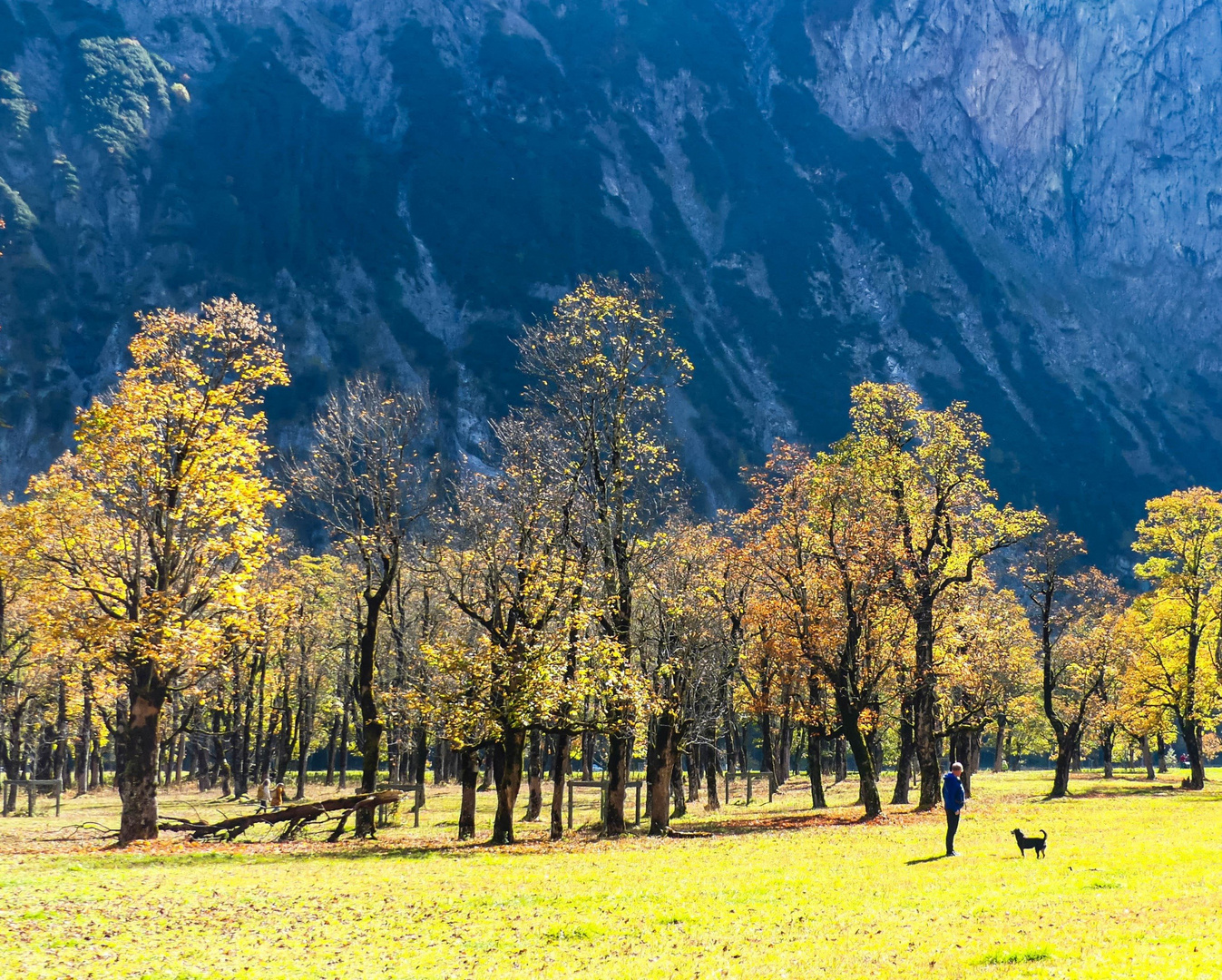 Eine Hunderunde auf dem Ahornboden...