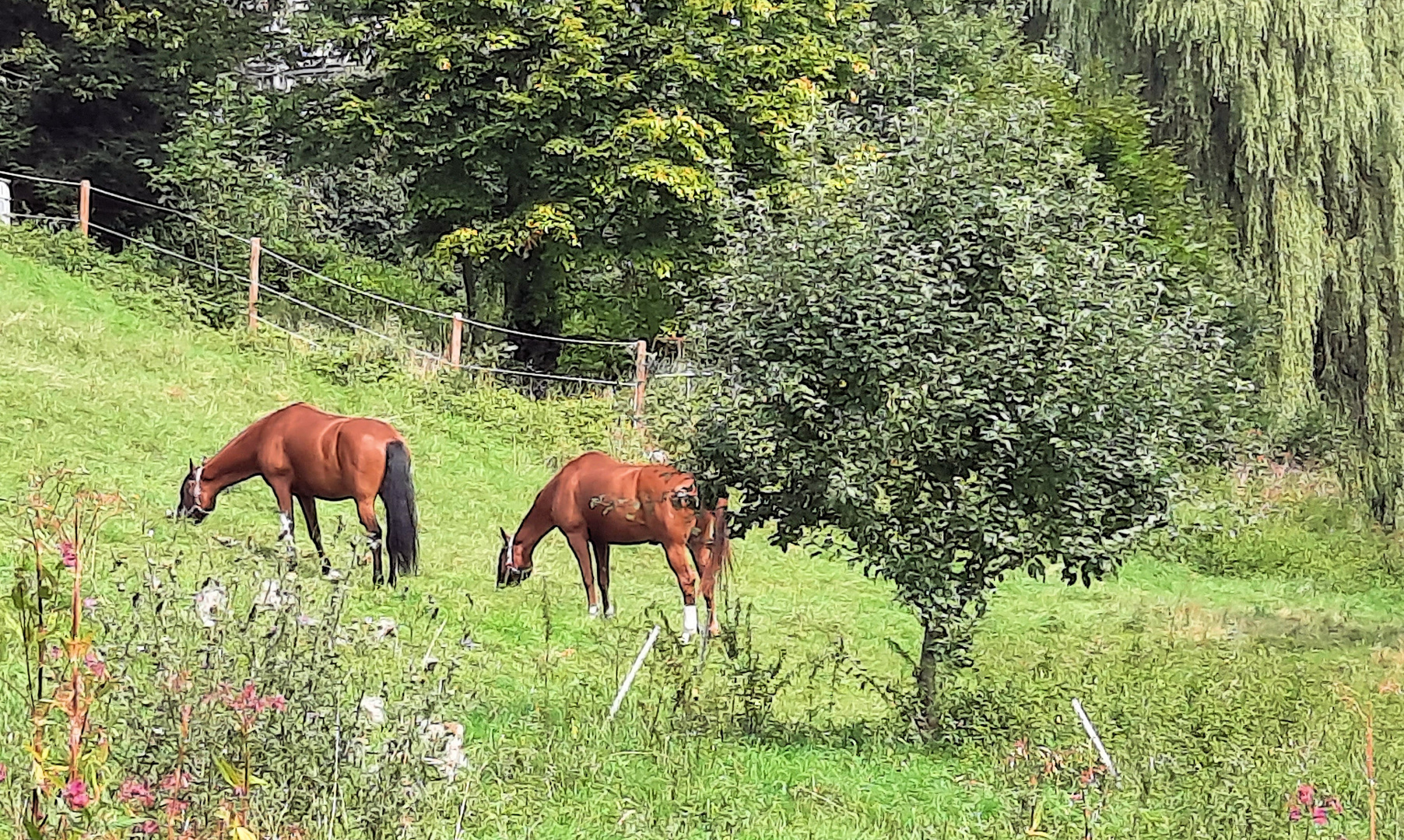 eine Idylle