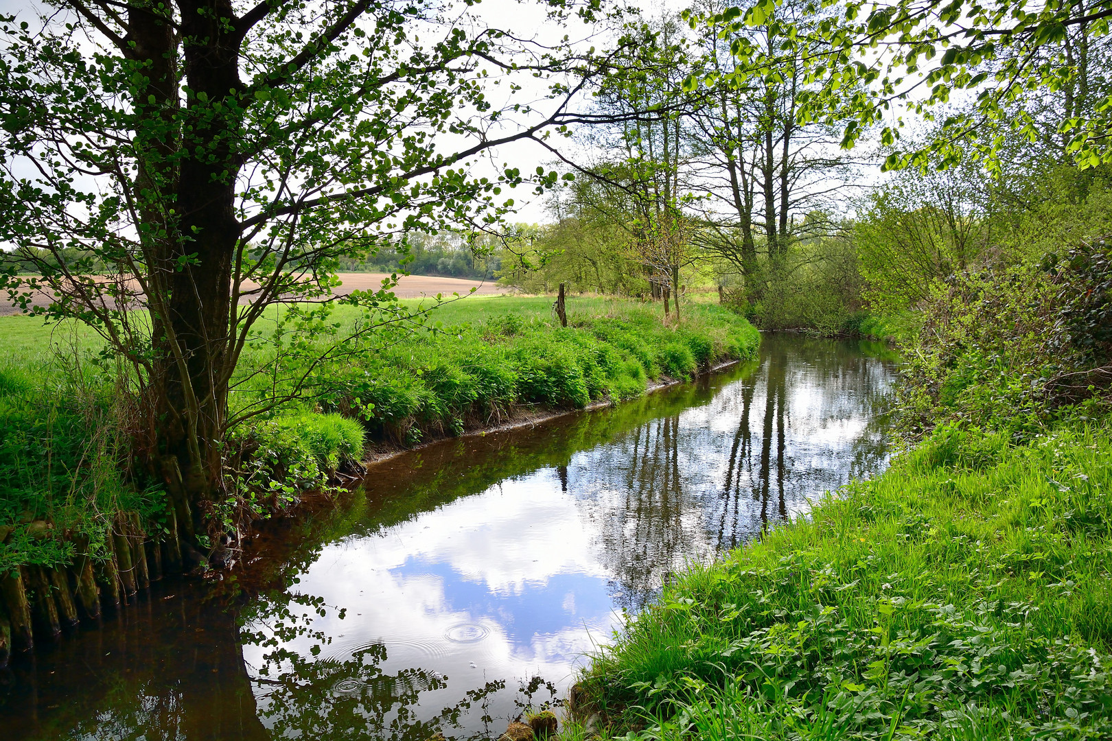 Eine Idylle ...