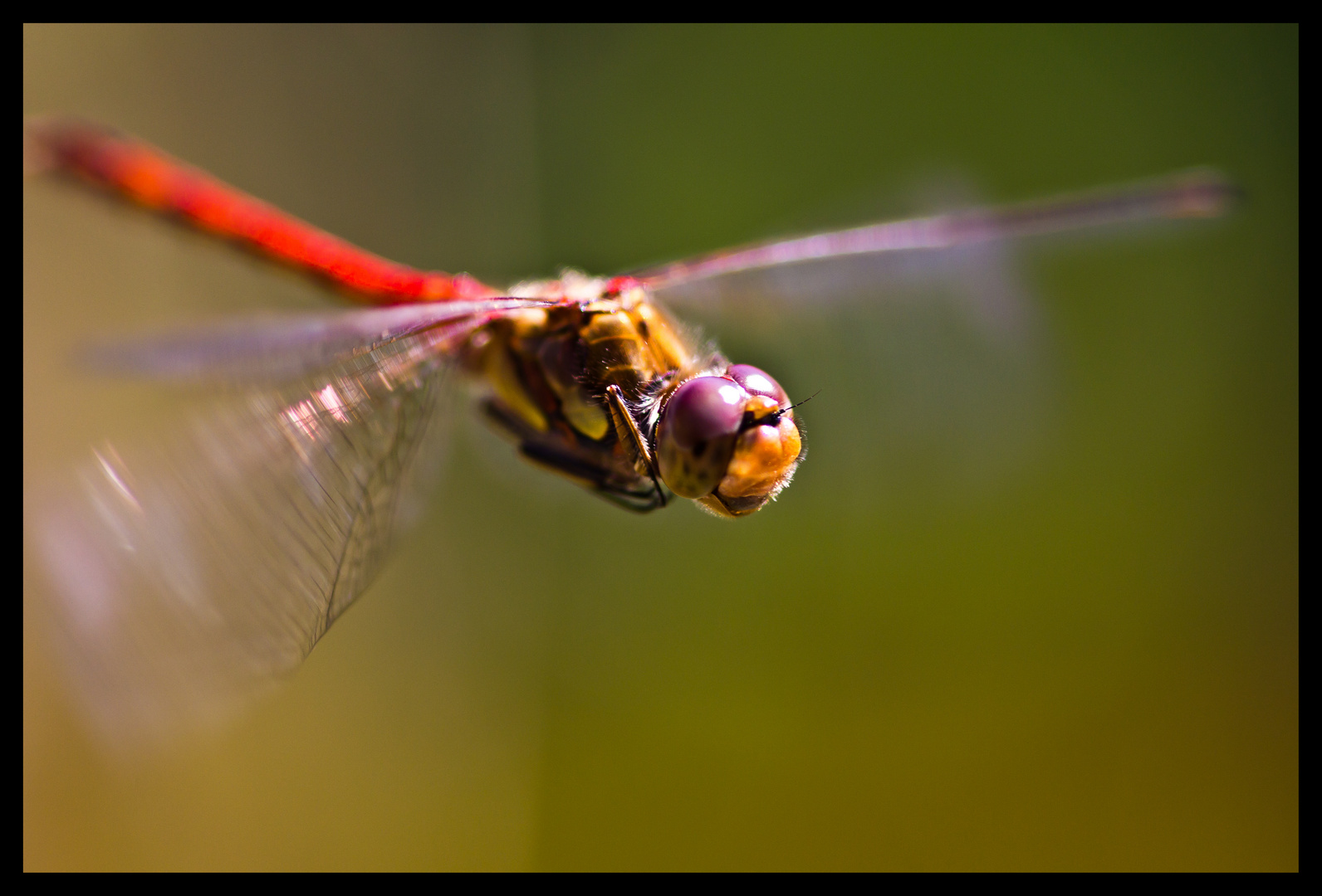 eine im Flug