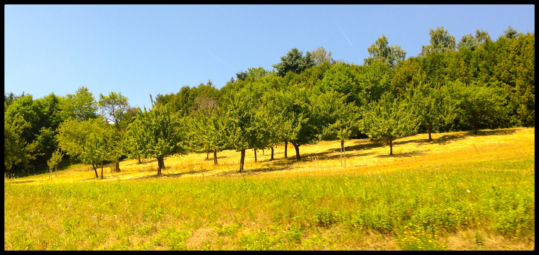 eine Impression des Sommers