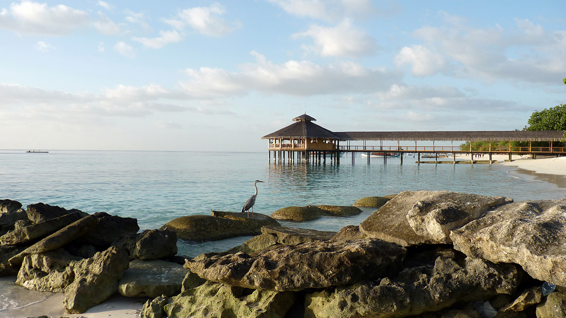 Eine Insel erwacht