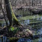 EINE INSEL FÜR SICH ALLEIN. KRUMME LAKE #6