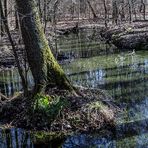 EINE INSEL FÜR SICH ALLEIN. KRUMME LAKE #6