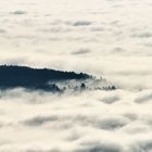 Eine Insel im Nebel