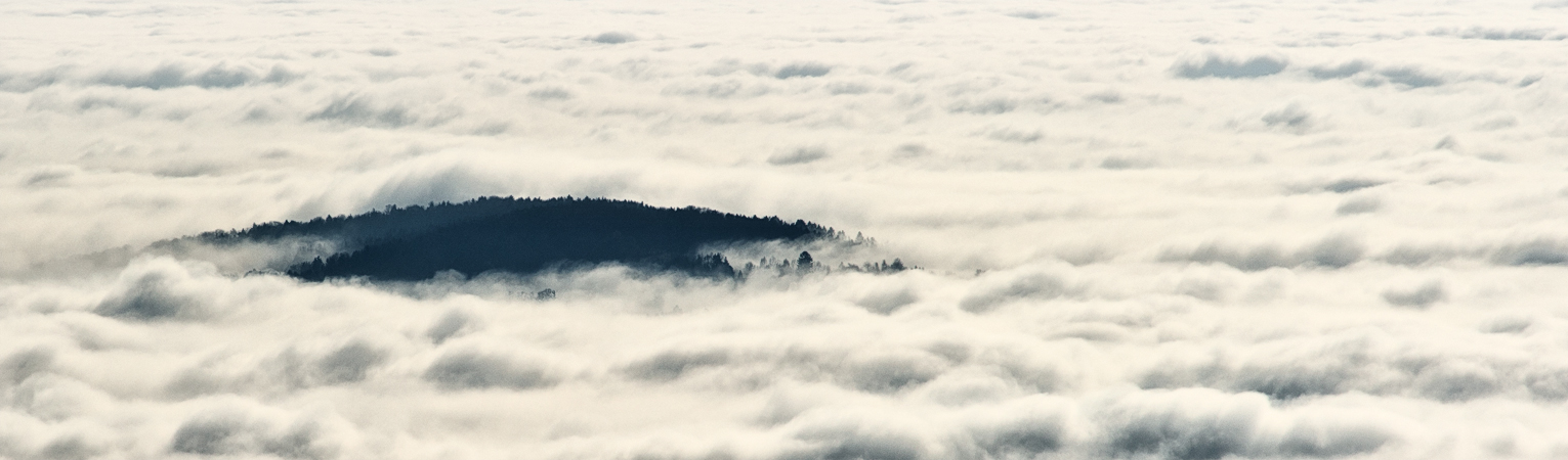 Eine Insel im Nebel