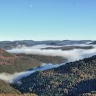 Eine Insel im Nebelmeer