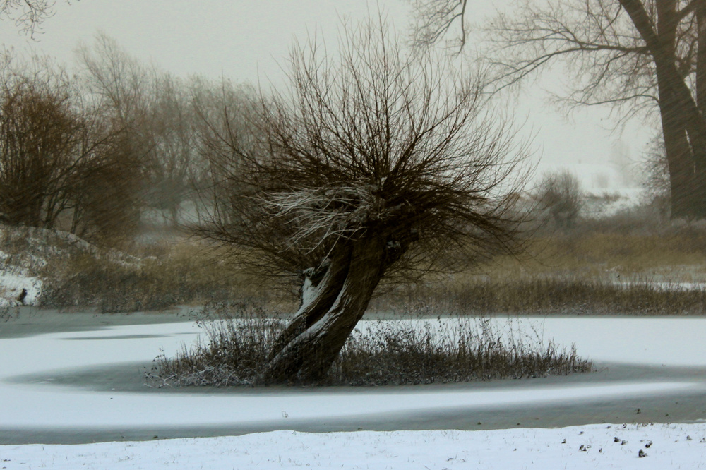 Eine Insel im Schnee