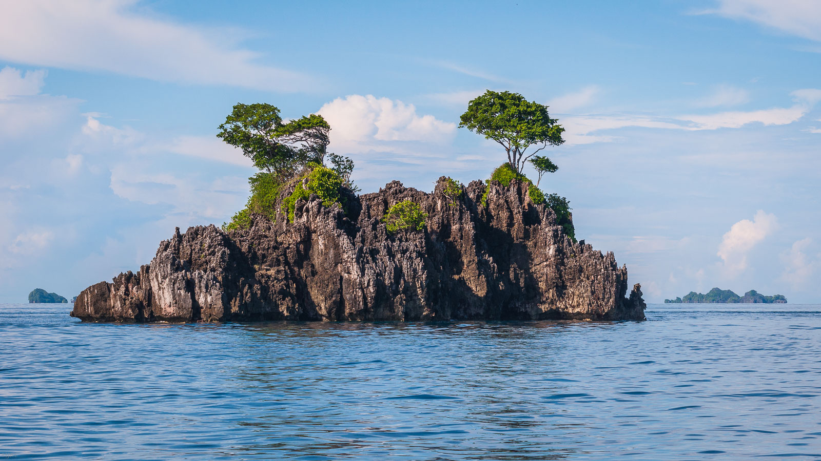 Eine Insel mit 2 Bäumen