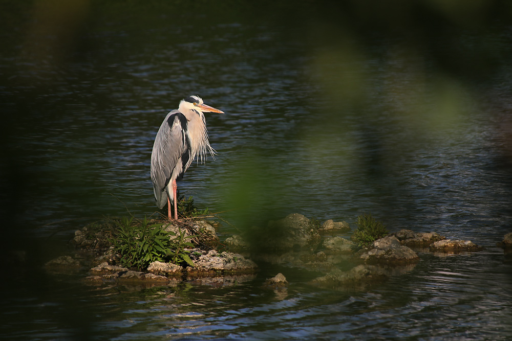 eine Insel mit dem Grauen......