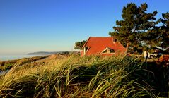 Eine Insel zum LEBEN