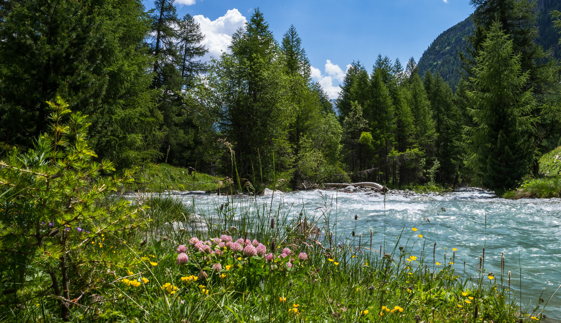 Eine intakte Ecke Natur