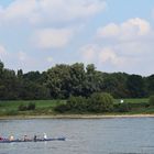 eine Kahnfart auf dem Rhein