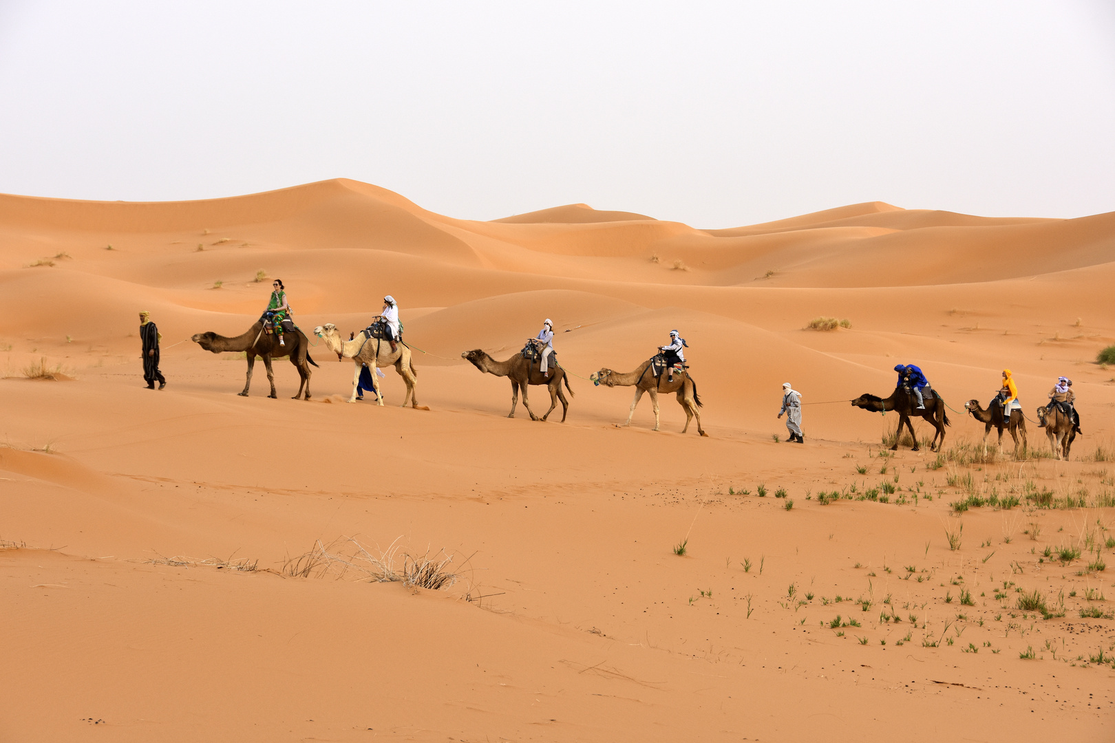 Eine Kamelkarawane in der Erg Chebbi in Marokko