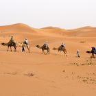 Eine Kamelkarawane in der Erg Chebbi in Marokko