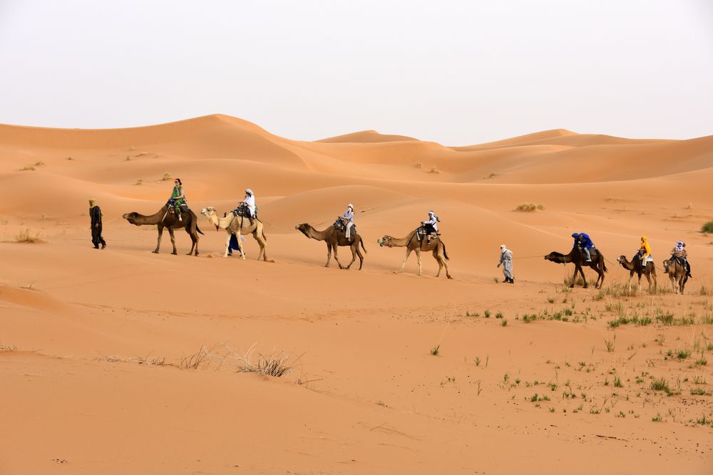 Eine Kamelkarawane in der Erg Chebbi in Marokko