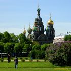 Eine Kathedrale, genannt "Blutkirche", in St. Petersburg