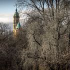 Eine Kirche im Wald.