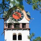 Eine Kirche in Langnau