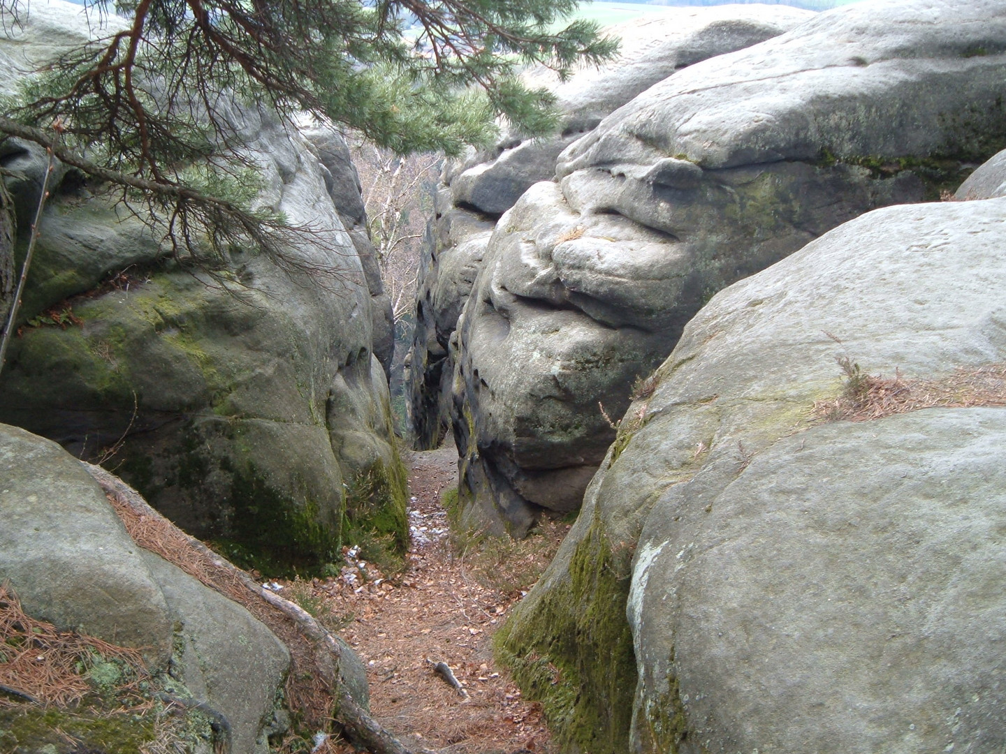 Eine Klamm im Elbsandsteingebirge