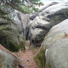 Eine Klamm im Elbsandsteingebirge