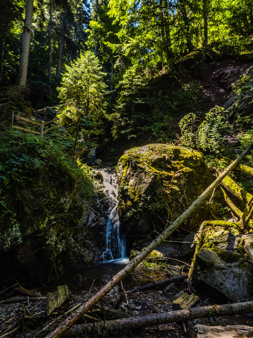 Eine Klamm im Scharzwald