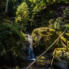 Eine Klamm im Scharzwald