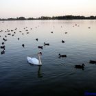 Eine kleine Abendrunde - in der Ruhe liegt die Kraft