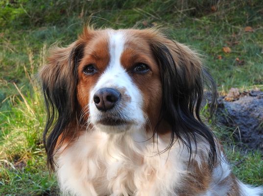 Eine kleine Dame inzwischen ...