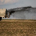 Eine kleine Dusche gefällig?