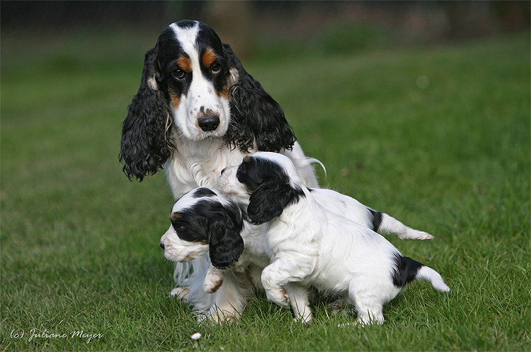 Eine kleine Familie