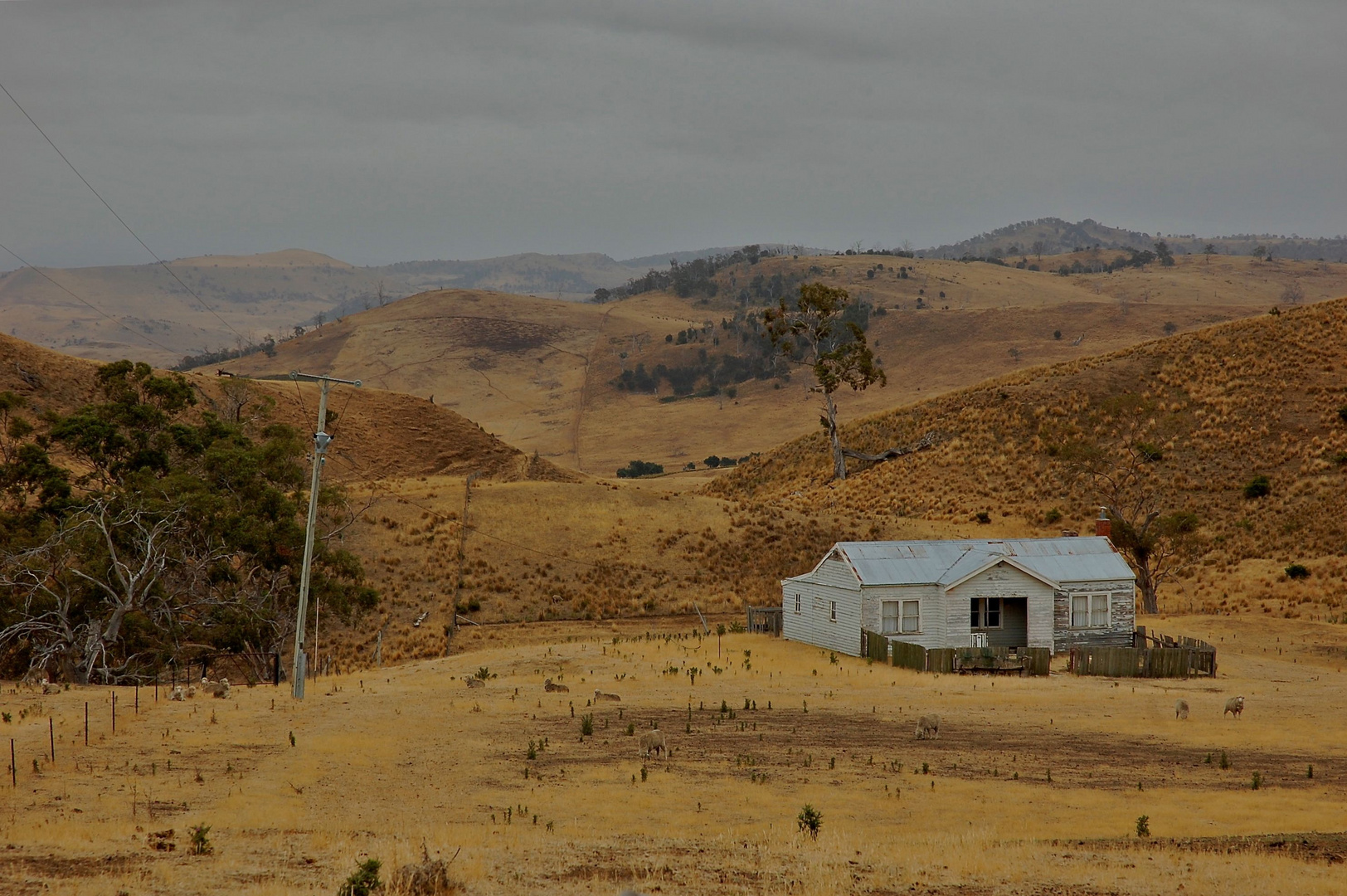 eine kleine Farm in Tasmanien
