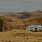 eine kleine Farm in Tasmanien